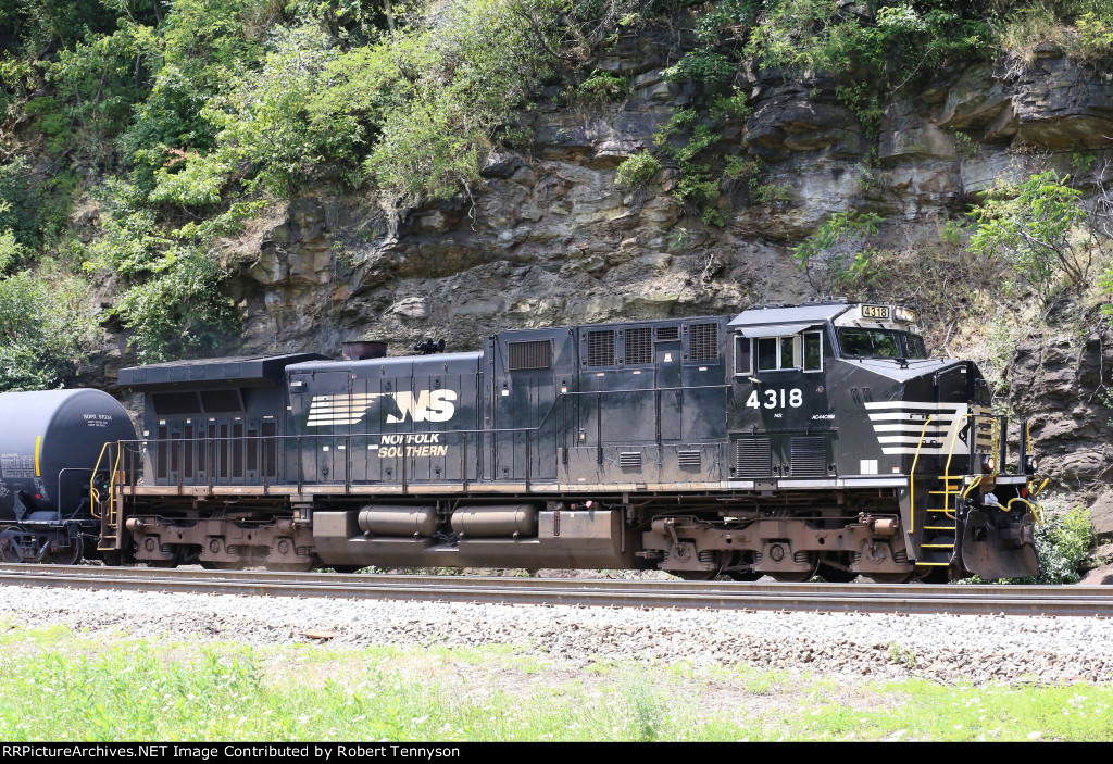 NS 4318